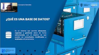 Empresas del Proyecto PATI fortalecen sus competencias digitales con taller de digitalización y análisis de datos