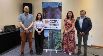 Investigadora UBB difunde avances en restauración de suelos en Mesa de Trabajo del Grupo REDD+ Bosques de Ñuble