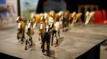 Universidad del Bío-Bío recibió los derechos de la exposición «Desmontar, posfotografía de la estatua ecuestre»