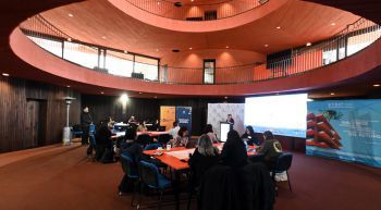 Taller abordó estrategias para fortalecer incidencia territorial pública de la vinculación con el medio