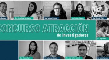 UBB fortalece sus capacidades de investigación con la incorporación de cinco investigadores postdoctorales