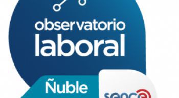 OLÑ: Termómetro Laboral de diciembre