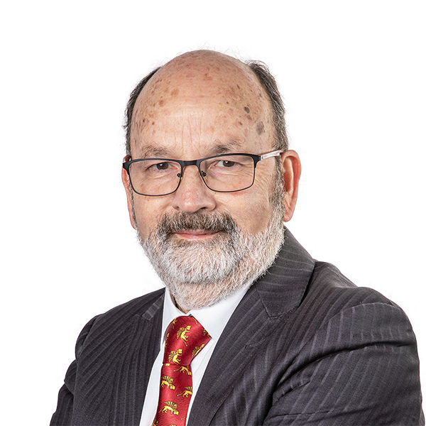 Carlos Torres Navarro